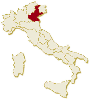 Amarone della Valpolicella Classico DOC 2001 | Bertani